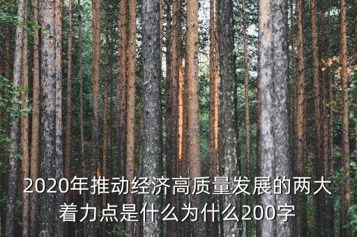 2020年推動經(jīng)濟高質(zhì)量發(fā)展的兩大著力點是什么為什么200字