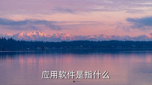 應(yīng)用軟件是指什么