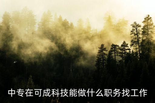 科技賦能業(yè)務(wù)工作，中專在可成科技能做什么職務(wù)找工作
