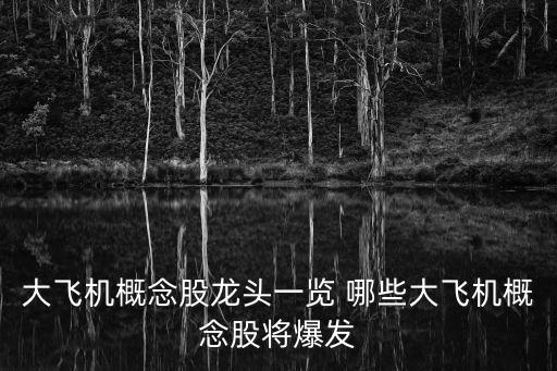 大飛機(jī)概念股龍頭一覽 哪些大飛機(jī)概念股將爆發(fā)