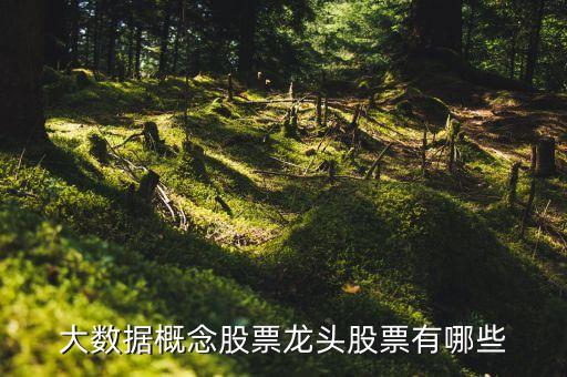 數(shù)字經(jīng)濟股票龍頭有哪些企業(yè)，大數(shù)據(jù)概念股票龍頭股票有哪些