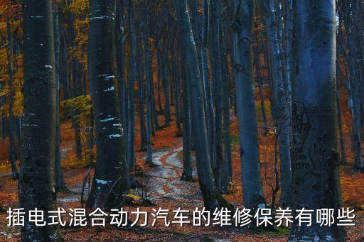 新能源混合動力汽車維護，插電式混合動力汽車的維修保養(yǎng)有哪些