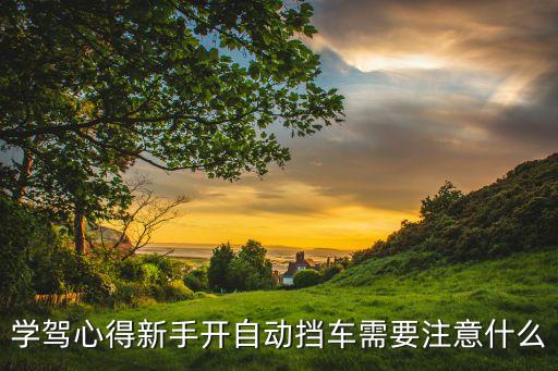 學駕心得新手開自動擋車需要注意什么