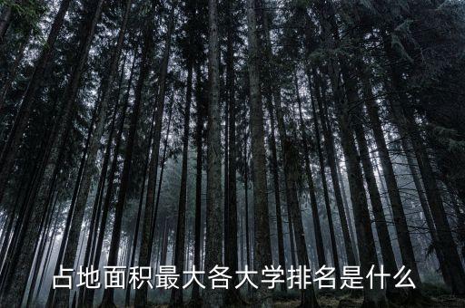 中國(guó)十大頂尖技術(shù)2021，2021年手機(jī)處理器排名是怎樣的