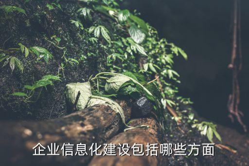 信息化建設(shè)的三個(gè)重點(diǎn)內(nèi)容，實(shí)驗(yàn)室信息化建設(shè)的重點(diǎn)是什么