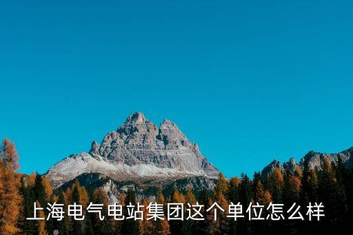 上海電氣電站集團(tuán)這個(gè)單位怎么樣