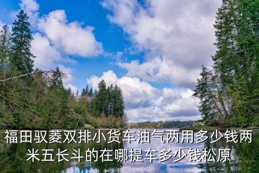 福田馭菱雙排小貨車油氣兩用多少錢兩米五長斗的在哪提車多少錢松原