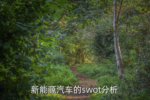 關(guān)于新能源汽車的研究報告，新能源汽車的swot分析