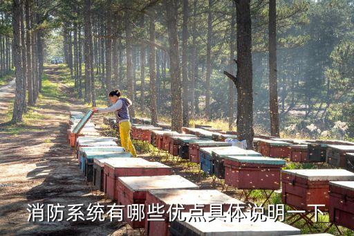 消防系統(tǒng)有哪些優(yōu)點(diǎn)具體說(shuō)明一下