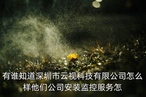有誰知道深圳市云視科技有限公司怎么樣他們公司安裝監(jiān)控服務(wù)怎