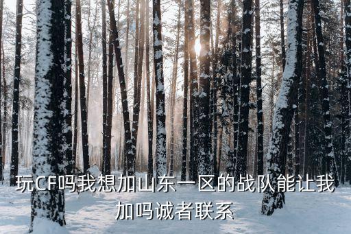 玩CF嗎我想加山東一區(qū)的戰(zhàn)隊(duì)能讓我加嗎誠(chéng)者聯(lián)系
