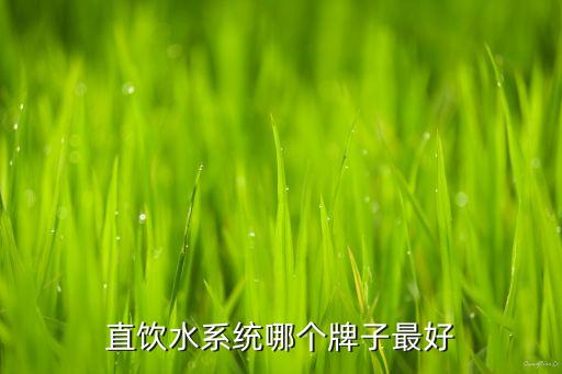 直飲水系統(tǒng)哪個牌子最好