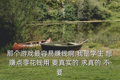 那個(gè)游戲最容易賺錢啊 我是學(xué)生 想賺點(diǎn)零花錢用 要真實(shí)的 求真的 不要