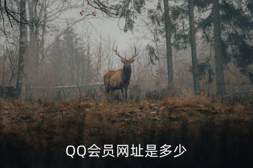 QQ會員網(wǎng)址是多少