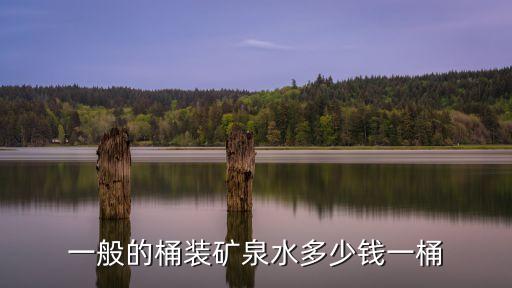 一般的桶裝礦泉水多少錢一桶