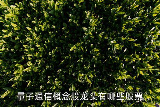 量子通信概念股龍頭有哪些股票
