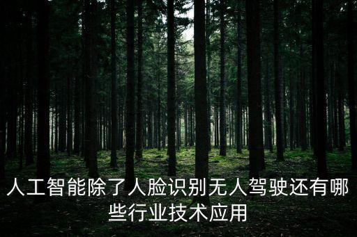 人工智能除了人臉識別無人駕駛還有哪些行業(yè)技術(shù)應(yīng)用