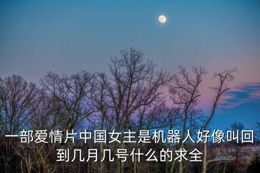 一部愛情片中國女主是機器人好像叫回到幾月幾號什么的求全