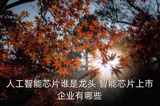 人工智能芯片誰是龍頭 智能芯片上市企業(yè)有哪些