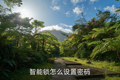 智能鎖的使用方法，防盜指紋鎖的使用說(shuō)明