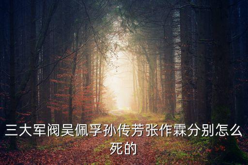 三大軍閥吳佩孚孫傳芳張作霖分別怎么死的