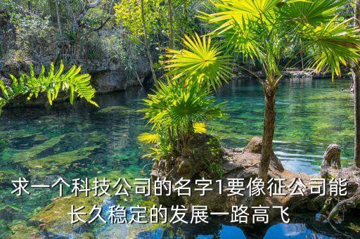 求一個科技公司的名字1要像征公司能長久穩(wěn)定的發(fā)展一路高飛