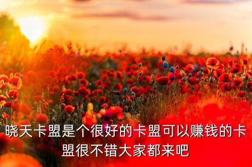 曉天卡盟是個(gè)很好的卡盟可以賺錢(qián)的卡盟很不錯(cuò)大家都來(lái)吧