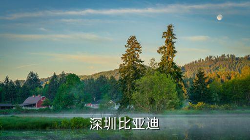深圳比亞迪