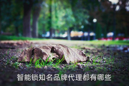 智能鎖知名品牌代理都有哪些