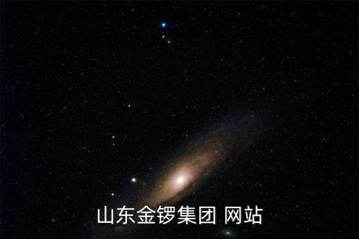 山東金鑼集團(tuán) 網(wǎng)站
