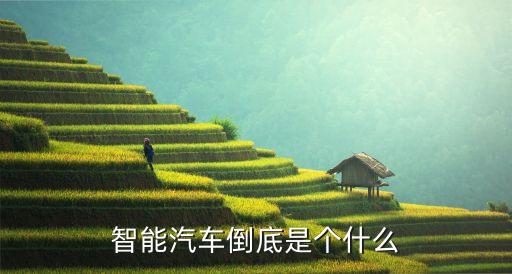全智能無(wú)人駕駛汽車倒車，全自動(dòng)倒車系統(tǒng)都啥車有這個(gè)功能啊