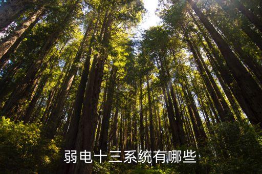 弱電十三系統(tǒng)有哪些