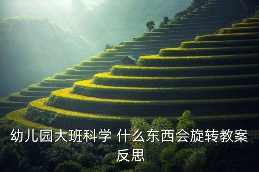 幼兒園大班科學(xué) 什么東西會旋轉(zhuǎn)教案 反思