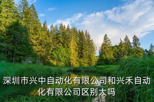 深圳市興中自動化有限公司和興禾自動化有限公司區(qū)別大嗎