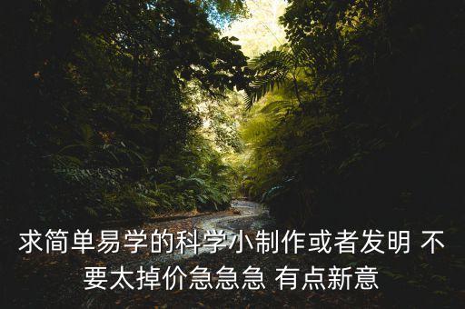 求簡(jiǎn)單易學(xué)的科學(xué)小制作或者發(fā)明 不要太掉價(jià)急急急 有點(diǎn)新意
