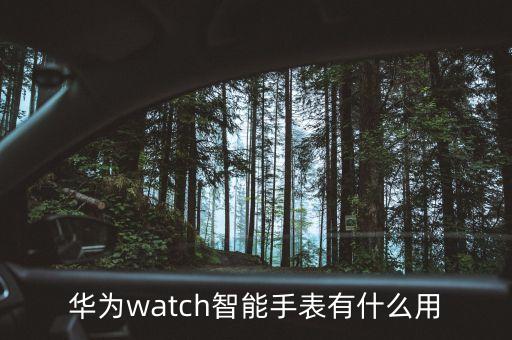 華為最新款智能手表功能，華為Watch有哪些功能