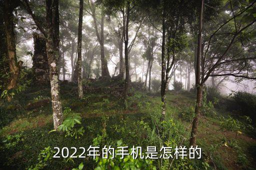 2022年新手機(jī)，2022年的手機(jī)是怎樣的