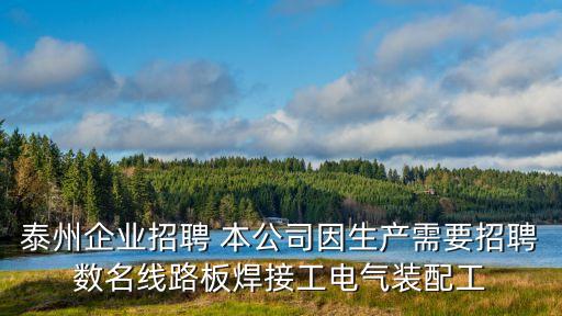 泰州企業(yè)招聘 本公司因生產(chǎn)需要招聘數(shù)名線路板焊接工電氣裝配工