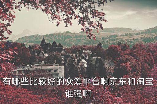 有哪些比較好的眾籌平臺啊京東和淘寶誰強(qiáng)啊