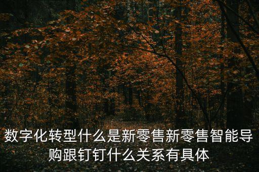 數字化轉型什么是新零售新零售智能導購跟釘釘什么關系有具體