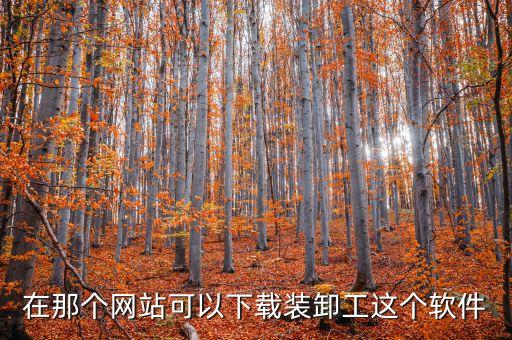 裝卸工app平臺，在那個網(wǎng)站可以下載裝卸工這個軟件