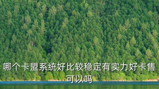 哪個卡盟系統(tǒng)好比較穩(wěn)定有實力好卡售可以嗎