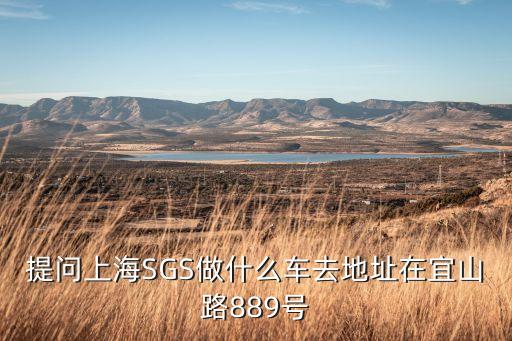 提問上海SGS做什么車去地址在宜山路889號