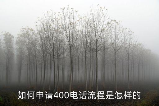 如何申請(qǐng)400電話流程是怎樣的