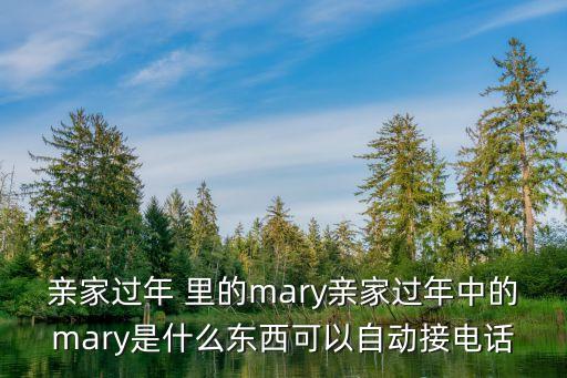 親家過年 里的mary親家過年中的mary是什么東西可以自動接電話