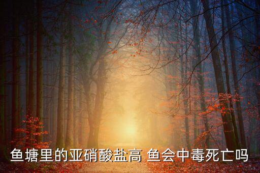 魚塘里的亞硝酸鹽高 魚會中毒死亡嗎
