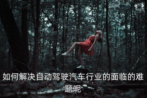 如何解決自動(dòng)駕駛汽車行業(yè)的面臨的難題呢