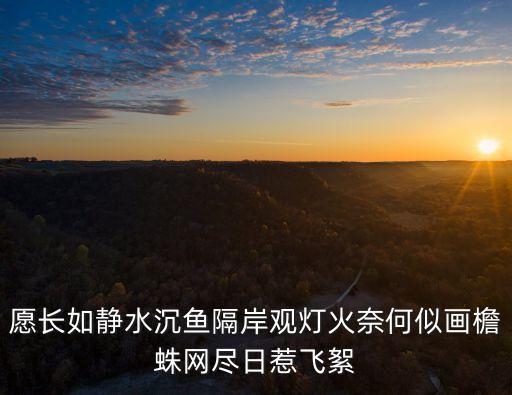 愿長(zhǎng)如靜水沉魚(yú)隔岸觀燈火奈何似畫(huà)檐蛛網(wǎng)盡日惹飛絮