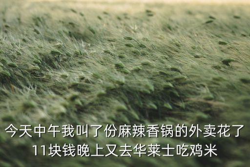麻辣香鍋外賣，哎呦麻辣香鍋怎么樣外賣平臺(tái)是不是開店成本會(huì)更低要求高嗎