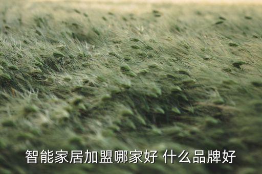 智能家居加盟哪家好 什么品牌好